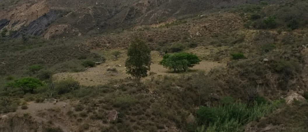 vendo terreno apto para todo tipo de cultivo