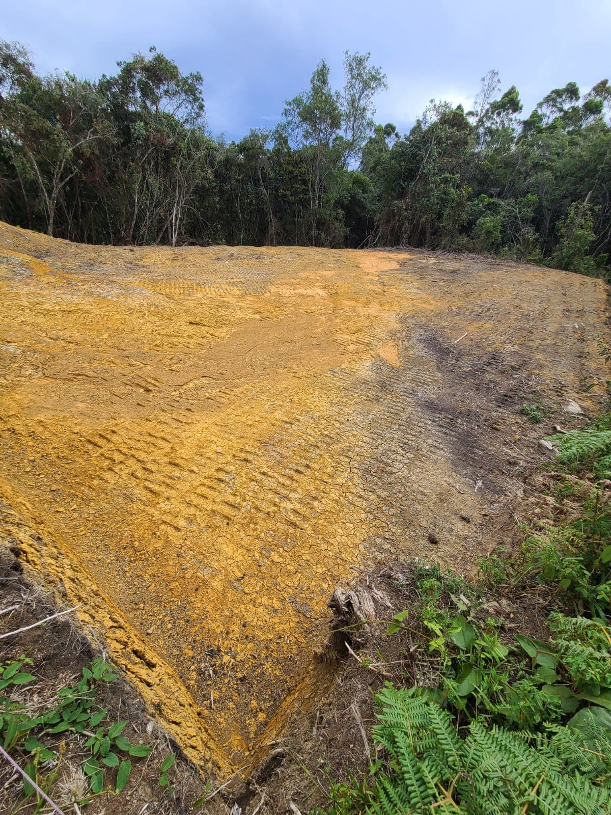 LOTE GUARNE 2000MTS ESCRITURAS 100X100TO EXPLANEACION Y BOSQUE VEREDA LA MEJIA