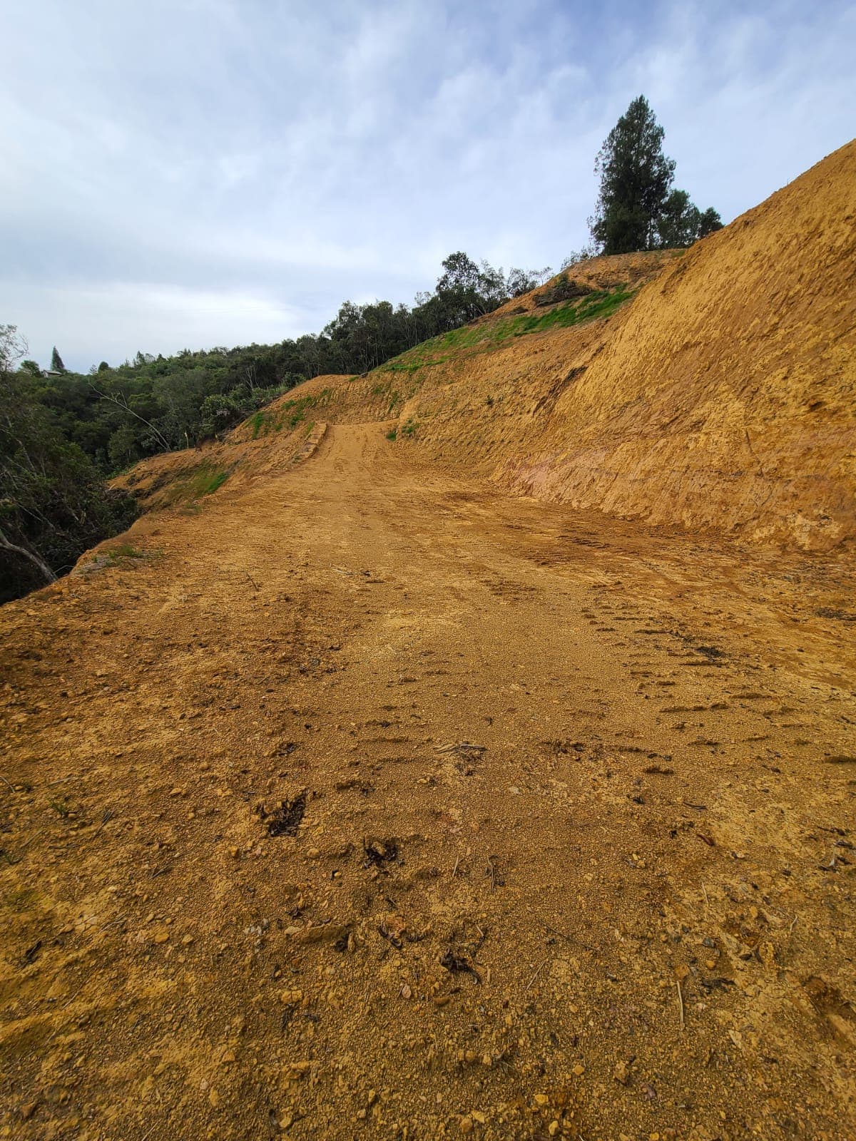 LOTE GUARNE 2000MTS ESCRITURAS 100X100TO EXPLANEACION Y BOSQUE VEREDA LA MEJIA
