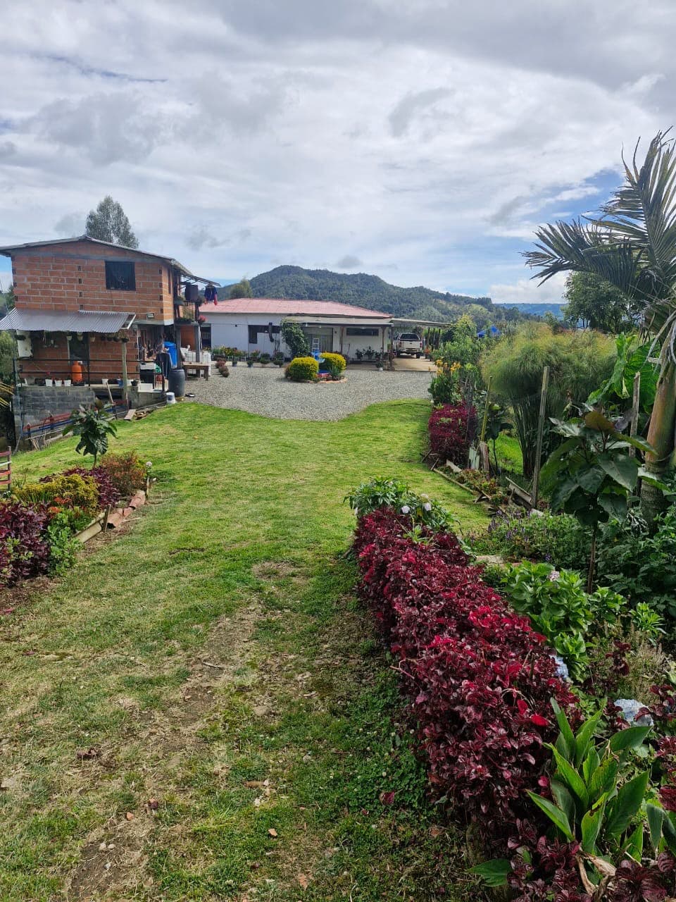 Hermosa Finca de 4 Hectáreas en San Pedro de los Milagros - 2 Casas - Vista Espectacula