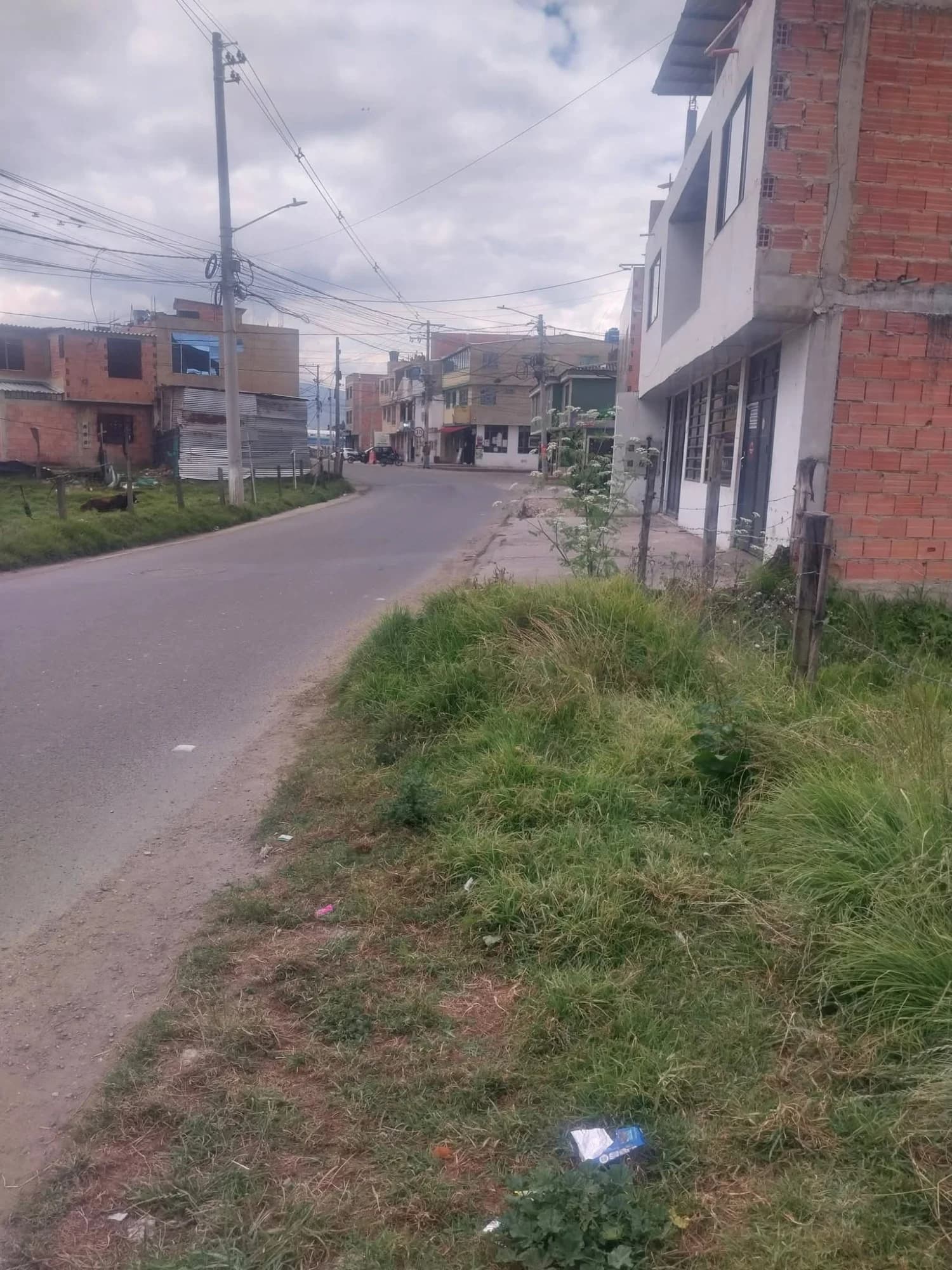 Lote
